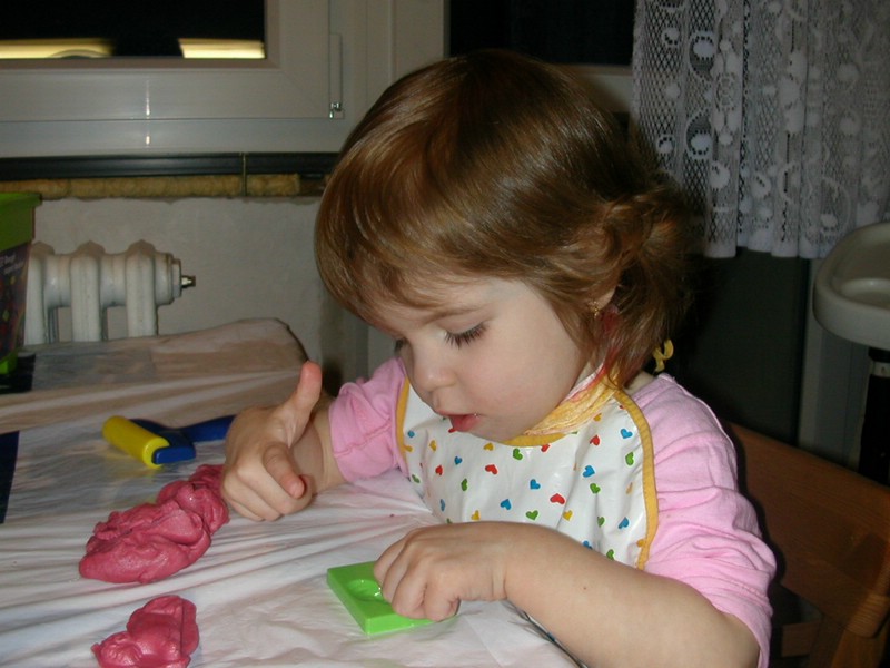 DSCN8487.JPG